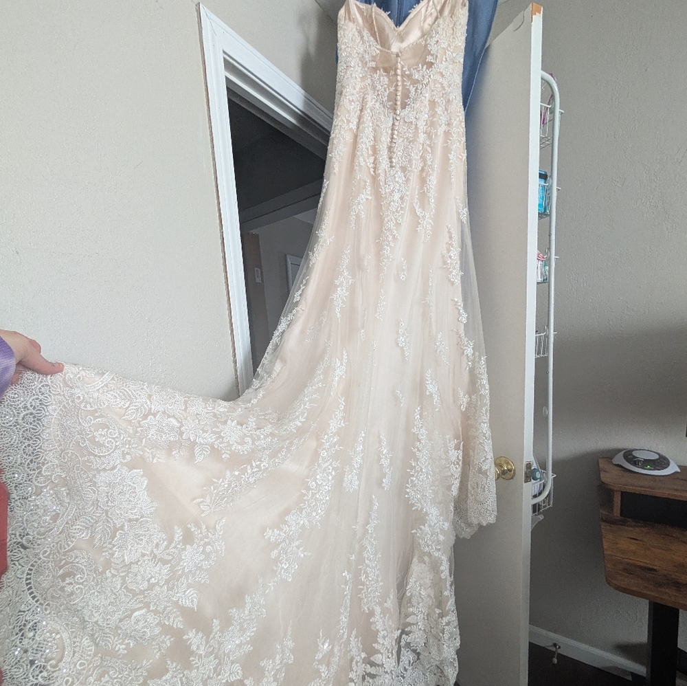 Maggie Sottero Nola Lace Wedding Dress - Picture 3 of 17